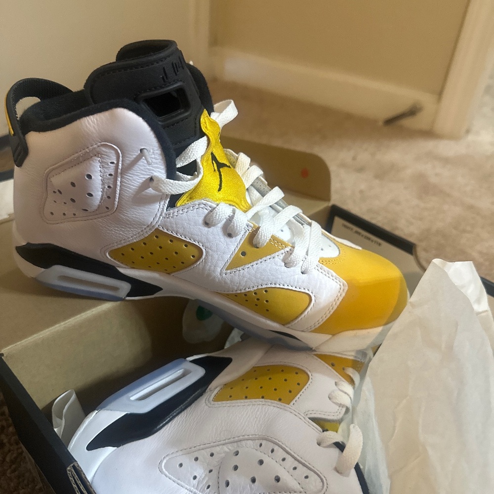 Retro 6 Jordans